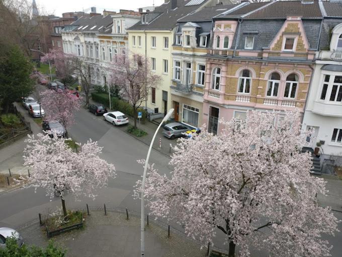 Hotel Mozart Bonn Eksteriør billede